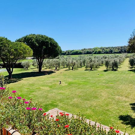 Il Borghetto Di Ansedonia 아파트 외부 사진