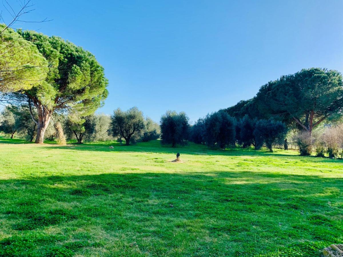 Il Borghetto Di Ansedonia 아파트 외부 사진