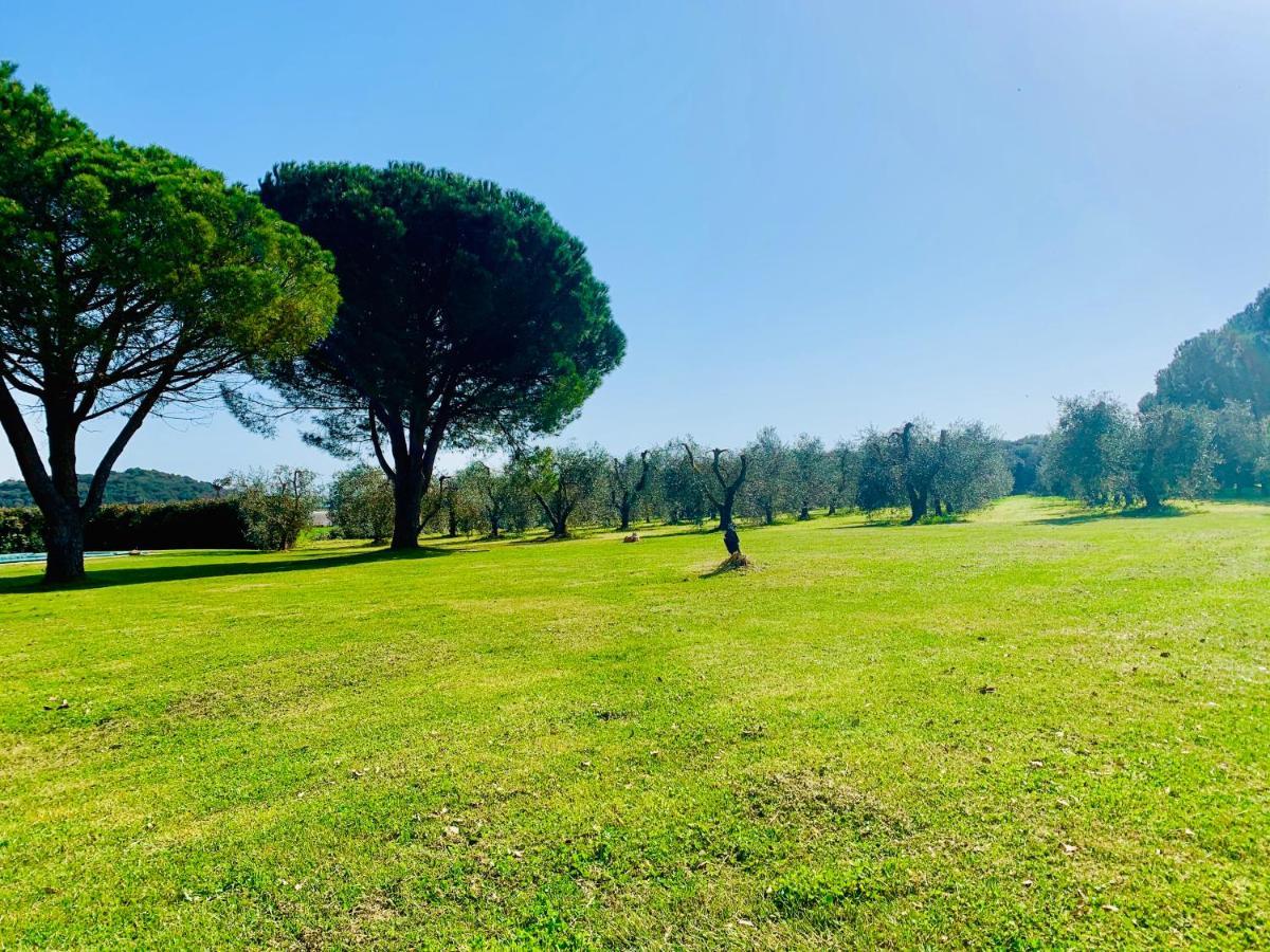 Il Borghetto Di Ansedonia 아파트 외부 사진