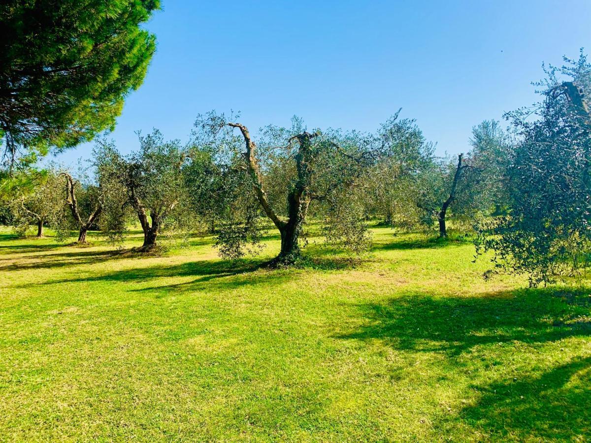 Il Borghetto Di Ansedonia 아파트 외부 사진