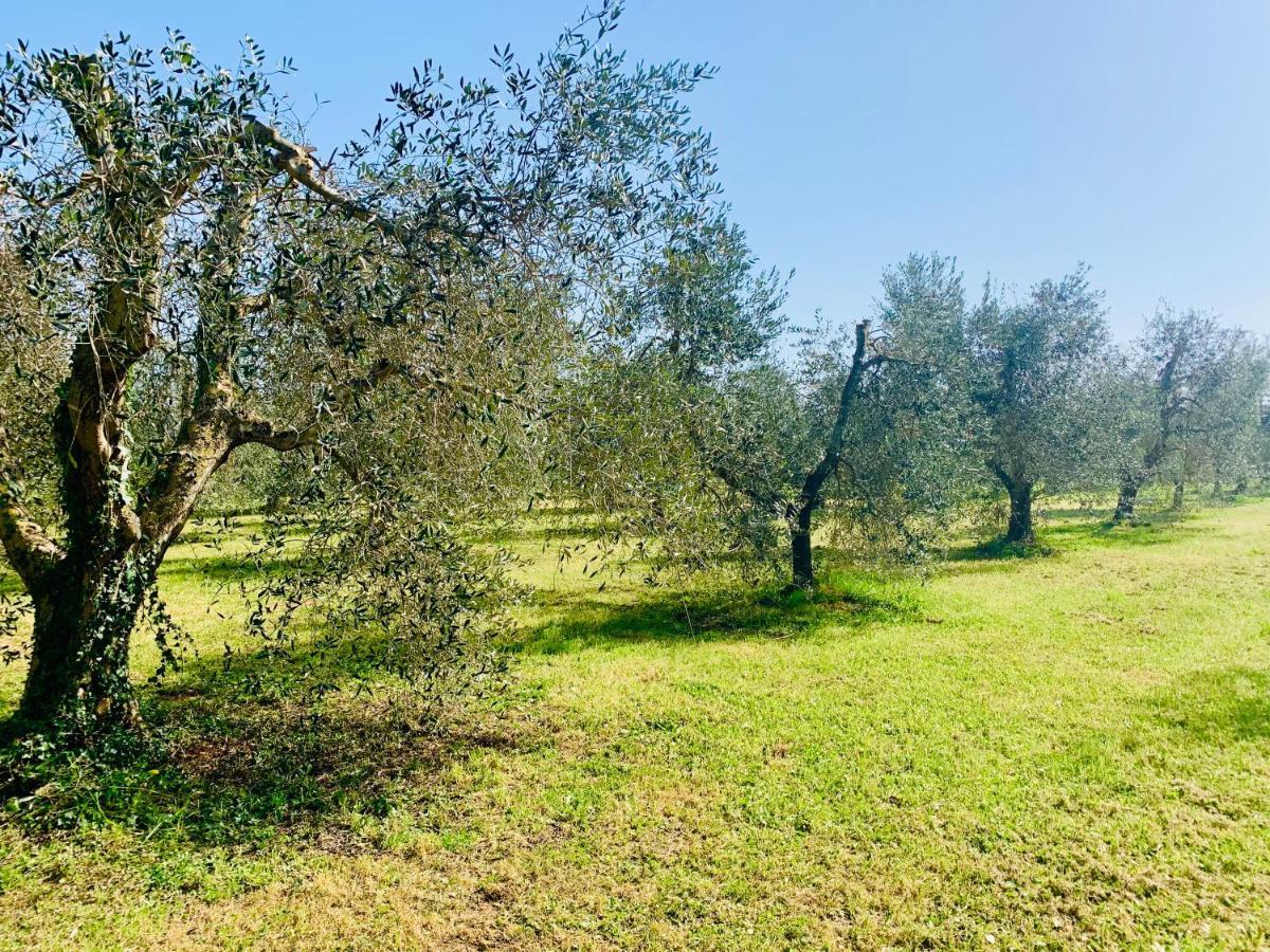 Il Borghetto Di Ansedonia 아파트 외부 사진