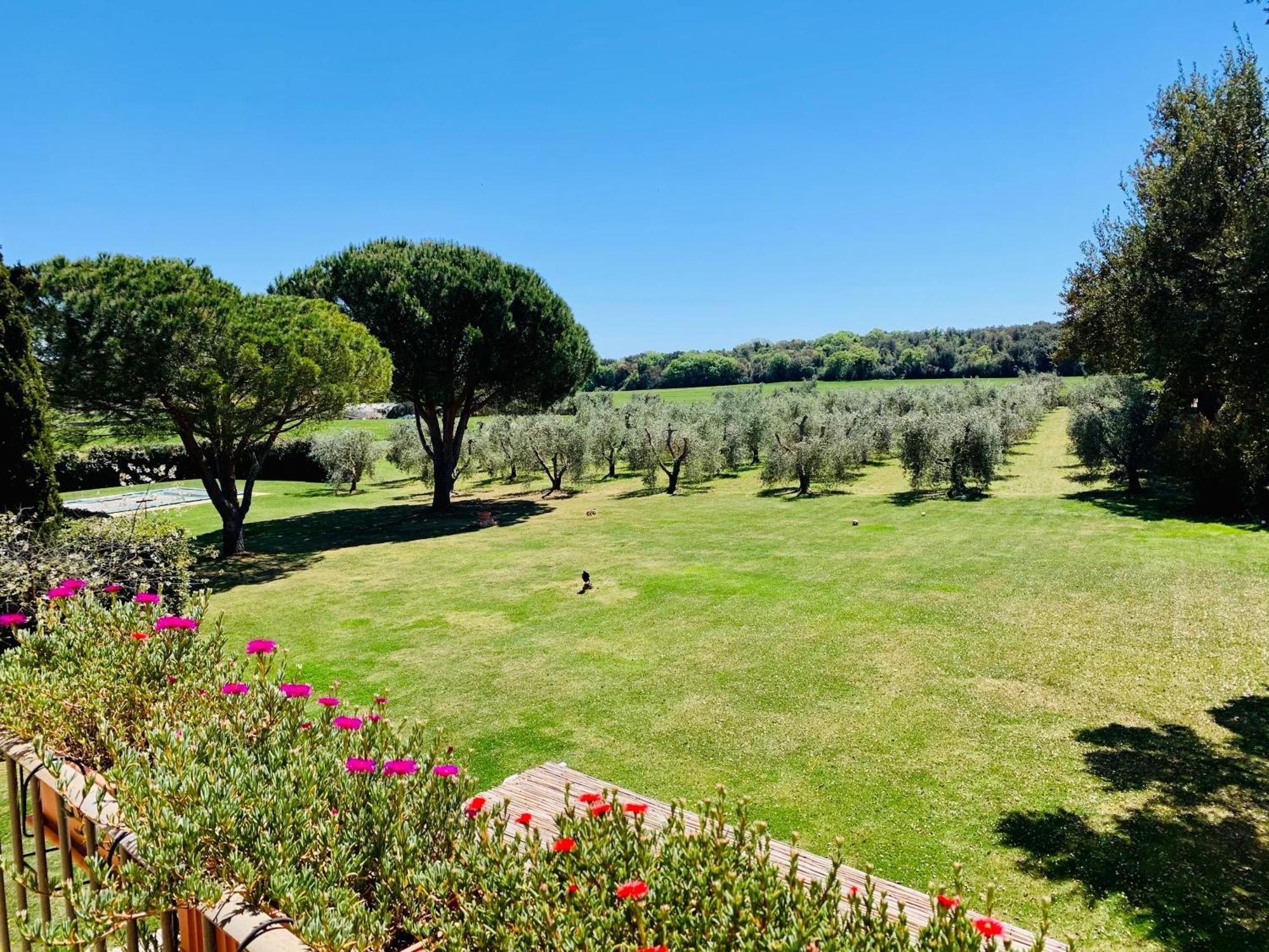 Il Borghetto Di Ansedonia 아파트 외부 사진