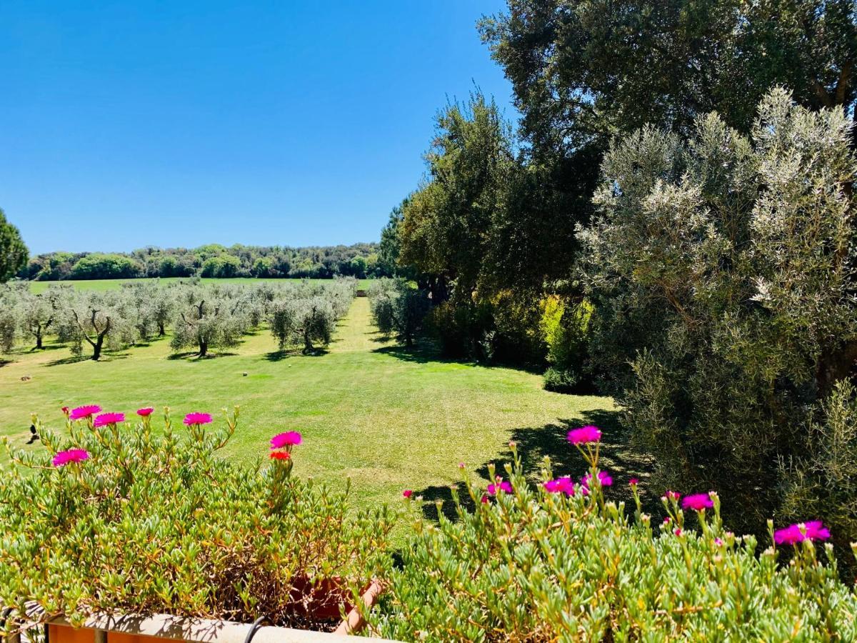 Il Borghetto Di Ansedonia 아파트 외부 사진
