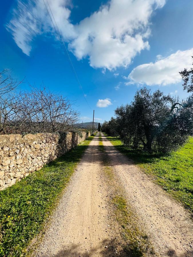 Il Borghetto Di Ansedonia 아파트 외부 사진