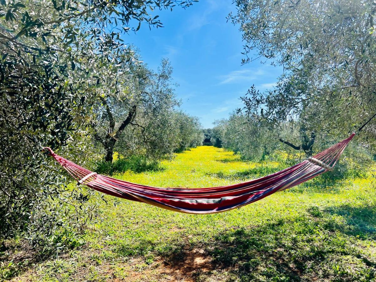 Il Borghetto Di Ansedonia 아파트 외부 사진